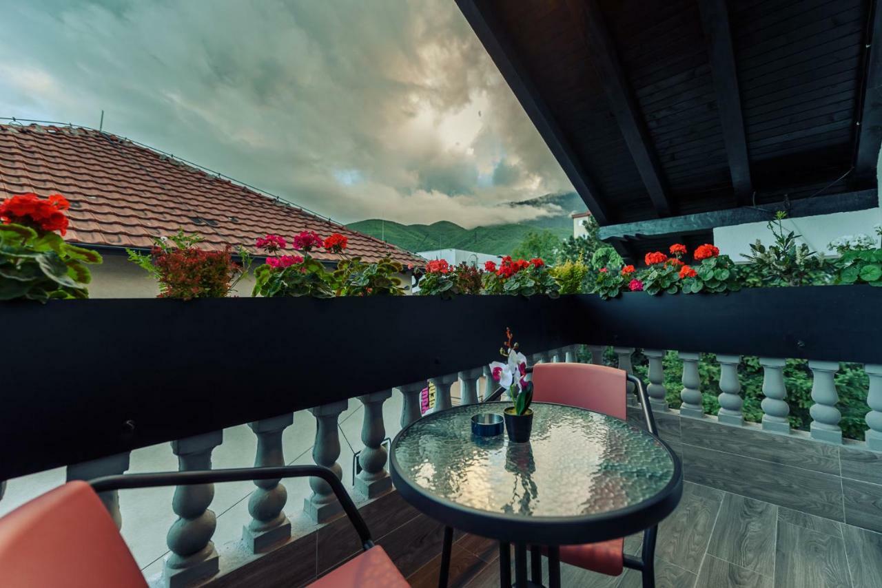 Town Hostel بتش المظهر الخارجي الصورة
